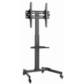 Držiak na TV Gembird TVS-55T-01 (TVS-55T-01)